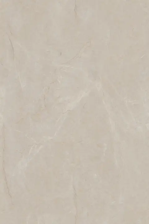 FRENCH BOTTOCHINO GREY view 2